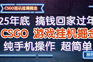 25年底搞钱回家过年,CSGO游戏挂G掘金,纯手机操作超简单【揭秘】