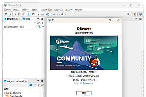 Dbeaver community v25.1.2绿色版
