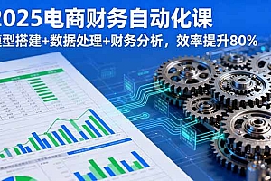 (16021期)2025电商财务自动化课,模型搭建+数据处理+财务分析,效率提升80%