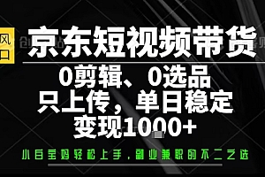 你出账号,我来运营,保底日入1k+,开启躺賺模式【揭秘】