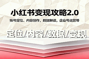 小红书变现攻略2.0:账号定位、内容创作,数据解读,企业号运营等