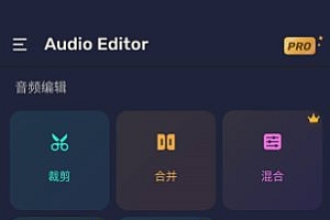 Audio Editor Pro Pro音频编辑器v1.01.72.0623专业版