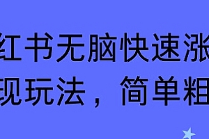 小红书无脑快速涨粉变现玩法,简单粗暴