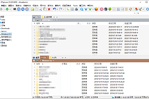 XYplorer v27.00.0800绿色版