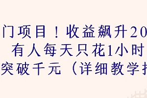 冷门项目!收益飙升200% 有人每天只花1小时 收益突破1k(详细教学指南)