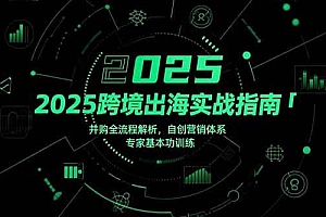 (15503期)2025跨境出海实战指南,并购全流程解析,自创营销体系,专家基本功训练