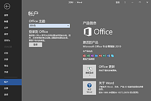 微软Office 2019 25年6月授权版