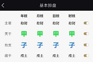 天开八字1.0.3纯净版