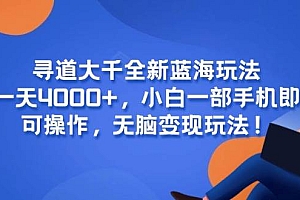 (15050期)寻道大千全新蓝海玩法,一天4000+,小白一部手机即可操作,无脑变现玩法!
