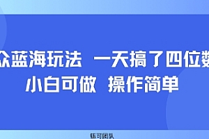 小众蓝海玩法 一天搞了四位数 小白可做 操作简单
