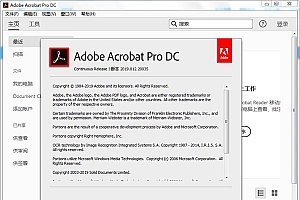 Acrobat Pro DC 2025.001.20672绿色版