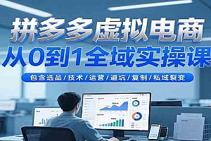 拼多多虚拟电商从0到1全域实操课,包含选品/技术/运营/避坑/复制/私域裂变