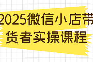 2025微信小店带货者实操课程