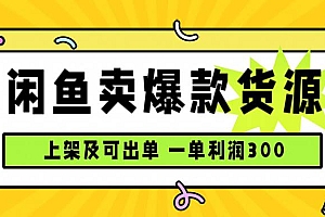 (15977期)闲鱼卖爆款货源,每天利润1000,上架即出单