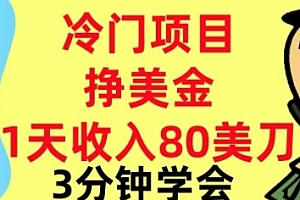 冷门项目挣美刀,0门槛,1天收入80刀,3分钟学会,这个方法要学会