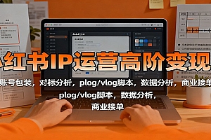 小红书IP运营高阶变现课:账号包装,对标分析,plog/vlog脚本,数据分析,商业接单
