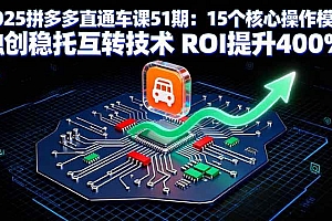 (16020期)2025拼多多直通车课51期:15个核心操作模块 独创稳托互转技术 ROI提升400%