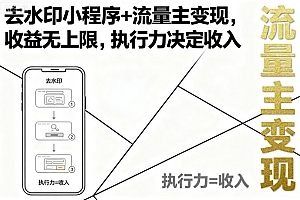 去水印小程序+流量主变现,收益无上限,执行力决定收入