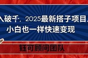 日入破K,2025最新搭子项目,小白也一样快速变现