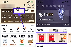 淘宝钻石会员抢实物或外卖券