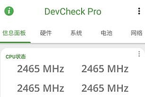 DevCheck硬件系统信息5.46专业版