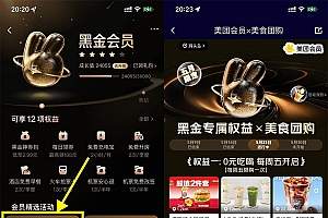 美团黑金以上会员0亓休闲玩乐