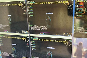(15257期)游戏全自动搬砖技术,日入千元,新手小白当天上手!