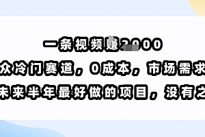 一条视频挣1k,小众冷门赛道,0成本,市场需求大,是未来半年最好做的项目,没有之一