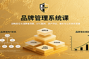 品牌管理系统课:战略定位与消费者洞察,DTC案例、资产评估,增长与公关体系搭建