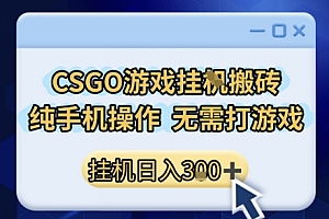 CSGO游戏挂G搬砖,小白纯手机即可操作,不用电脑打游戏,日入3张+,副业网创项目【揭秘】
