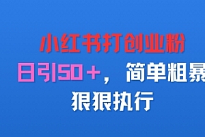 小红书打创业粉,日引50+,简单粗暴,狠狠执行