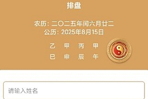灵棋排盘v2.1.3高级版