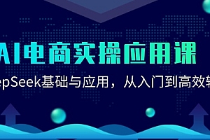 (15075期)AI电商实操应用课:DeepSeek基础与应用,从入门到高效输出