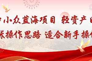 低竞争小众蓝海项目,轻资产日变现4张的操作思路适合新手操作