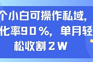 一个小白可操作私域,转化率90%,单月轻松收割2W