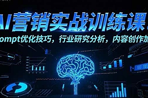 (15465期)AI营销实战训练课:Prompt优化技巧,行业研究分析,内容创作加速