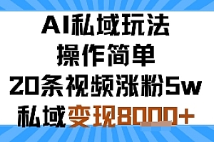 AI私域玩法,操作简单,20条视频涨粉5w,私域变现8k+