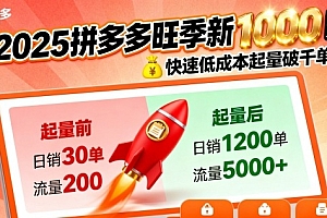 2025拼多多旺季新老店铺——快速低成本起量破千单