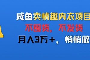 咸鱼卖情趣内衣项目,不囤货,不发货,月入3W+,悄悄做