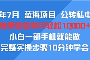 25年7月蓝海项目,公转私电商,随便做做单月轻松1w,小白一部手机就能做,完整实操步骤10分钟学会