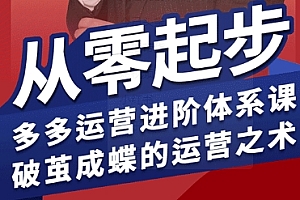 拼多多运营进阶系统课,从零起步,多多运营进阶体系课,破茧成蝶的运营之术(更新9月)