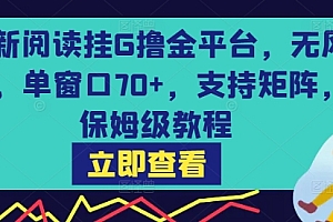 最新阅读挂G撸金平台,无风控,单窗口70+,支持矩阵,保姆级教程【揭秘】
