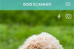 Dog Scanner 狗狗鉴定器v22.2.21-G高级版