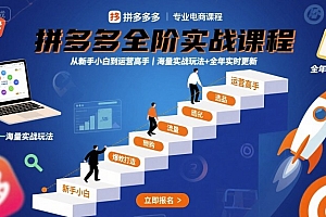 拼多多全阶实战课程,从新手小白到运营高手,海量实战玩法+全年实时更新【2025年10月更新】