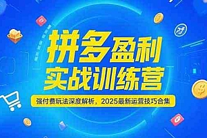 拼多多盈利实战训练营,强付费玩法深度解析,2025最新运营技巧合集