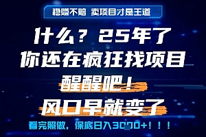 什么?25年你还在疯狂找项目做,醒醒吧,看完这些你全都懂了!【揭秘】