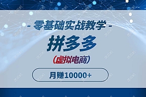 (14880期)拼多多虚拟电商,零基础实战教学,快速打爆商品,新手也能月入10000+