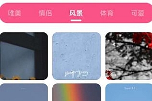 皮皮壁纸 v1.3纯净版