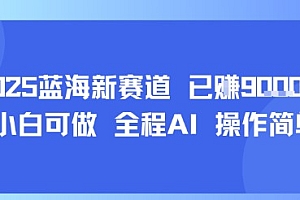 2025蓝海新赛道 已挣9k+ 小白可做 全程AI 操作简单
