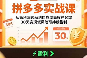 (15586期)拼多多实战课:从高利润选品到自然流高投产起爆 30天实现低风险可持续盈利